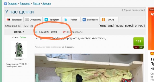 У нас щенки