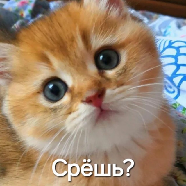 Торшер