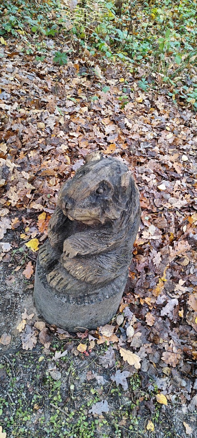 Ужасы нашего городка(с).