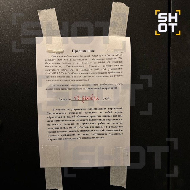 «Схема Долиной наоборот»: в Подмосковье бабушку выгнали из собственной квартиры на улицу вместе с кошкой и собакой.