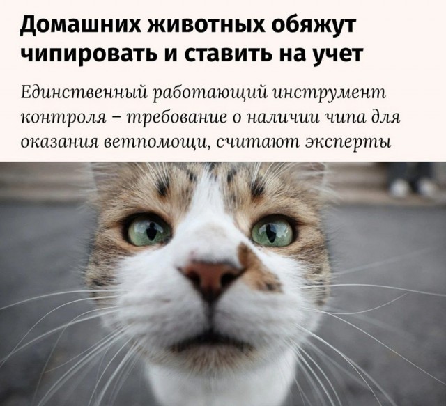 Так себе картинки 17.01.26