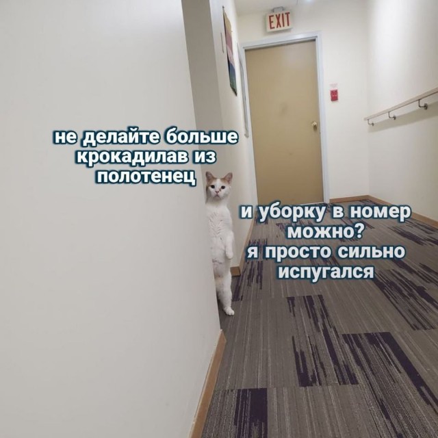 Вторника картинки