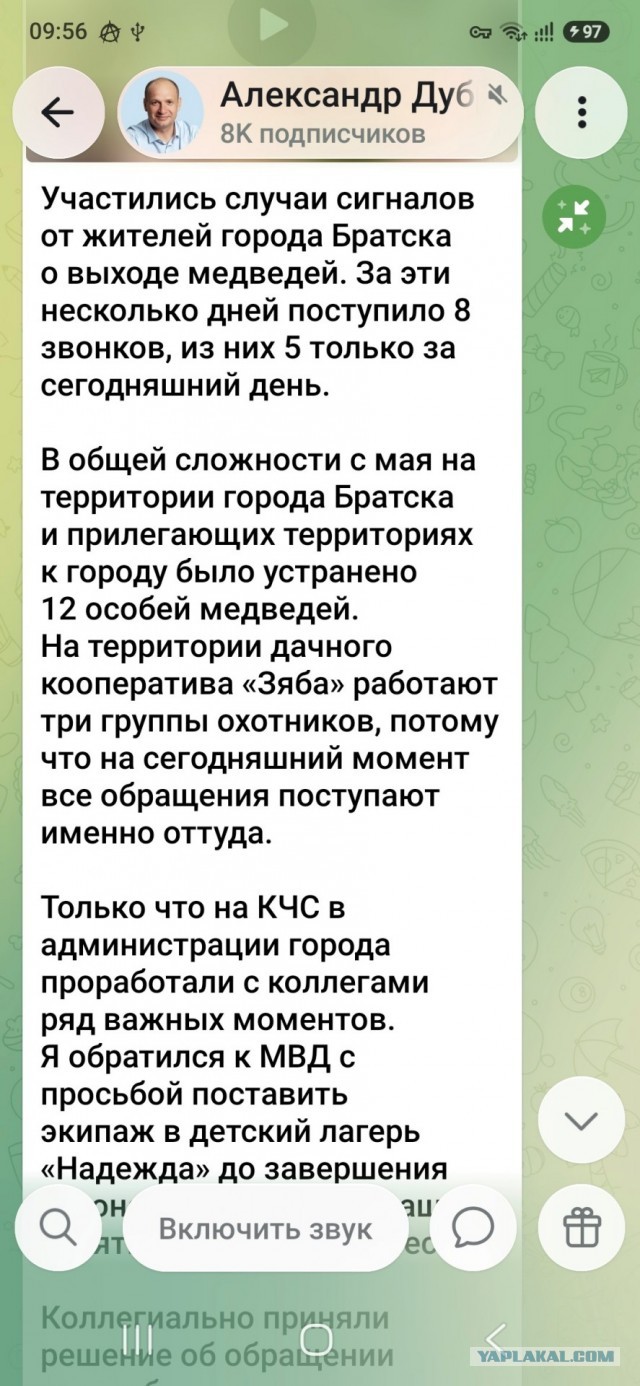 Медведи по улицам?