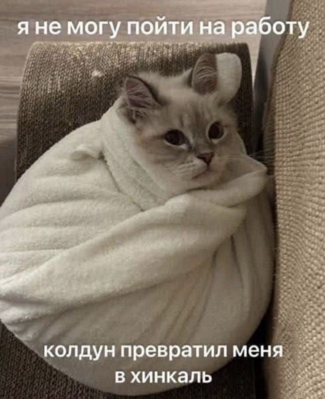 Веселые картинки в пятницу (23.10)