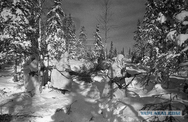 Советско-финская война (1939-1940 гг.)