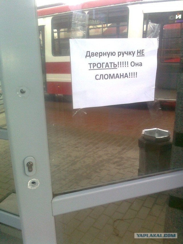 А котик удачно пристроился!