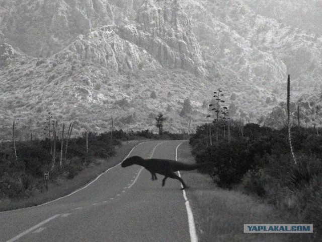 Динозавры и астероид