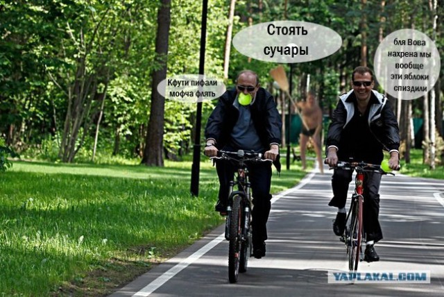 Ехали Медведев на велосипеде...