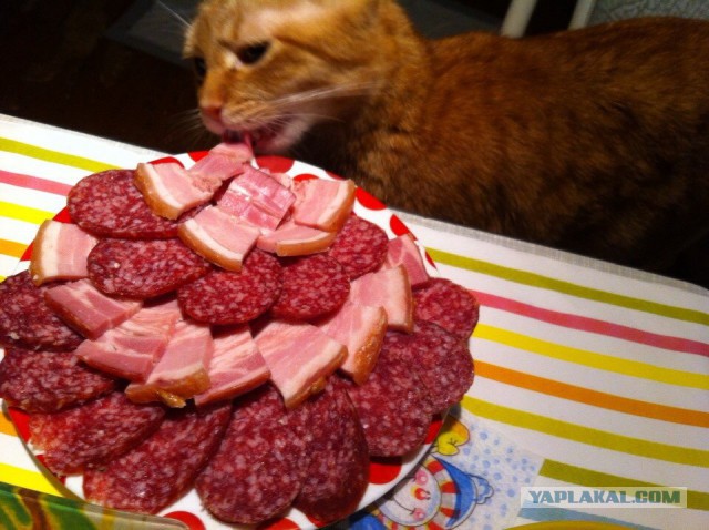 Лапки загребущие