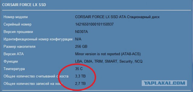 Прикупил SSD