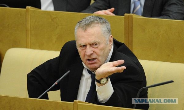Жириновский сделал дельное предложение