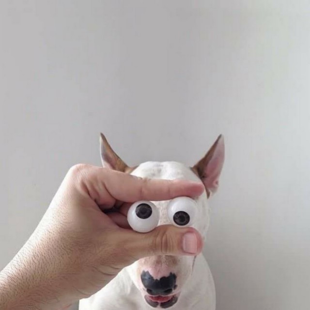 Картинки из сети (07.04.16)