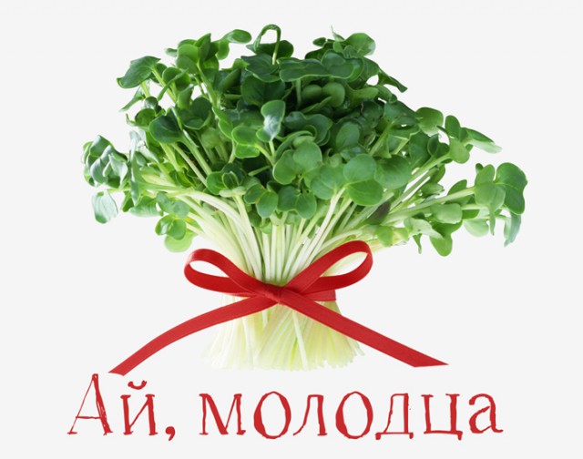 Пирожок