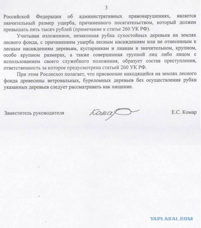 Закон о трёх веточках