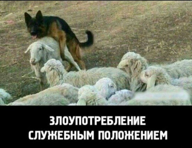 Подборка интересных и веселых картинок