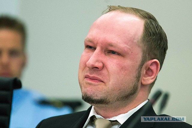 Немцы будут питаться объедками, от которых откажутся "беженцы"