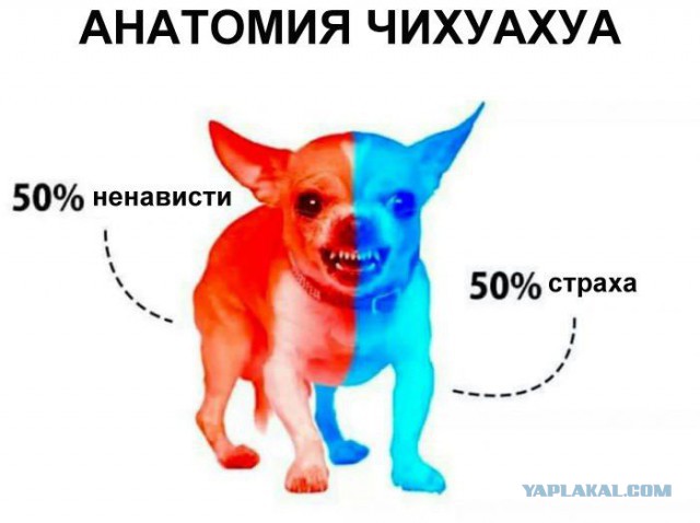 Веселье тёмной стороны