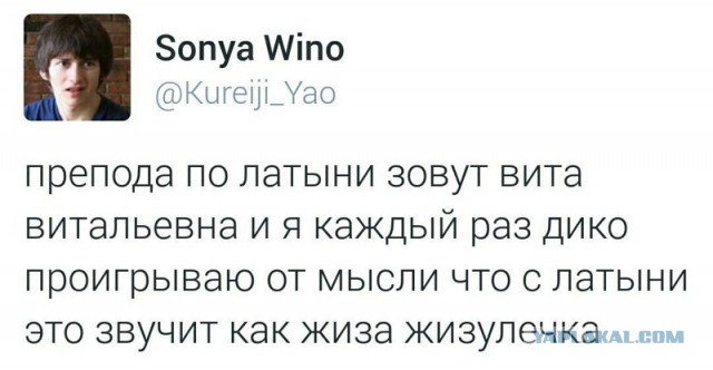 Юмор социальных сетей