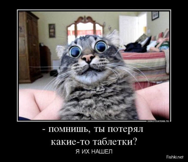 Картинки для настроения в пятницу.