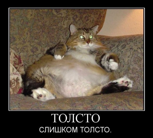 Неужели такие дамы существуют?