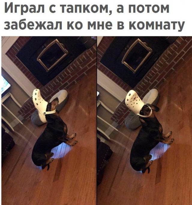 Прикольные картинки обо всём