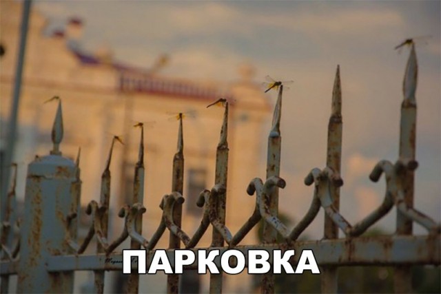 Прикольные картинки абавсём