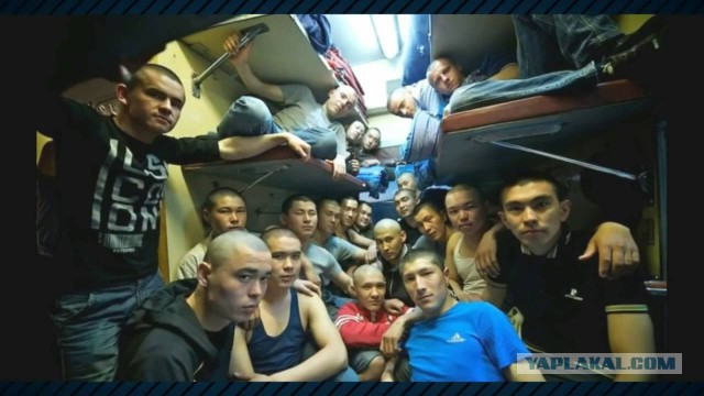 РЖД предложила модернизировать плацкарты вагоны-капсулами и пространствами-трансформерами