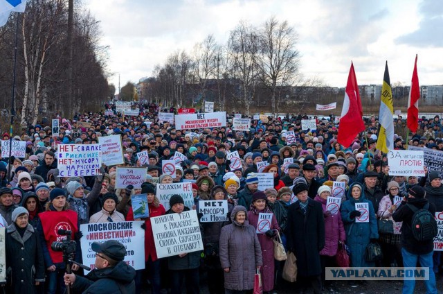 Напротив здания правительства Архангельской области, неизвестные личности провели пикет в связи с мусорной и налоговой политикой