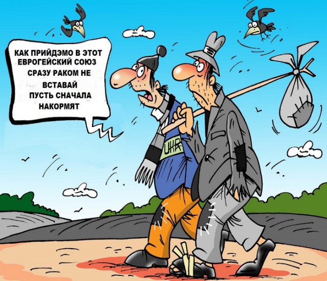 Анекдоты, соц-сети, истории и картинки с надписями