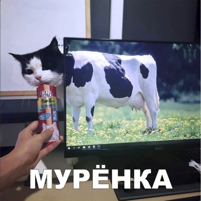 Нестандартный юмор