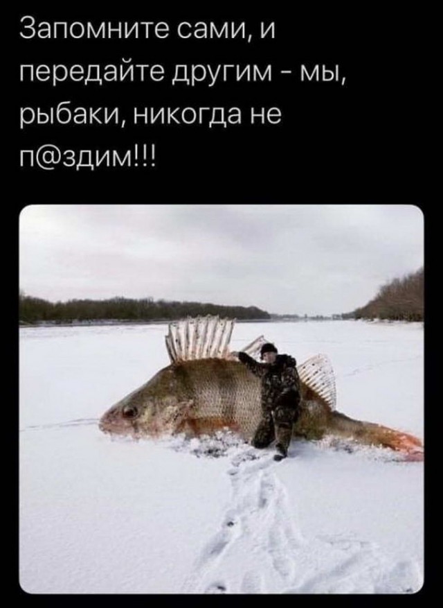 Чуток картинок. Ночные