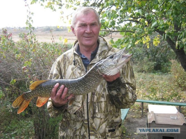 Со своих рыбалок, лето 2019