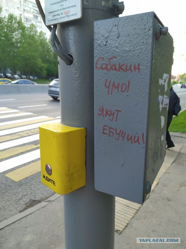 Собянин рассказал, когда в Москве можно будет гулять и заниматься спортом