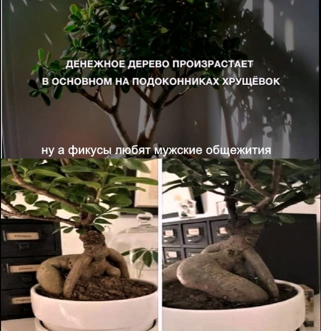 Фотки и картинки: юморные и красивые, забавные и милые 13.10.20