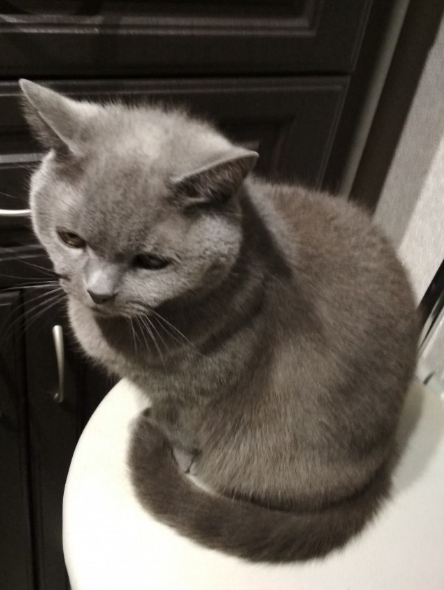 Некоторые виды маленькости