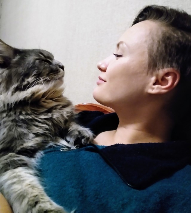Коты их видят...