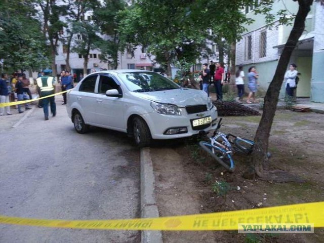 Над видео с девушкой, выезжающей с парковки, смеется половина Приморья