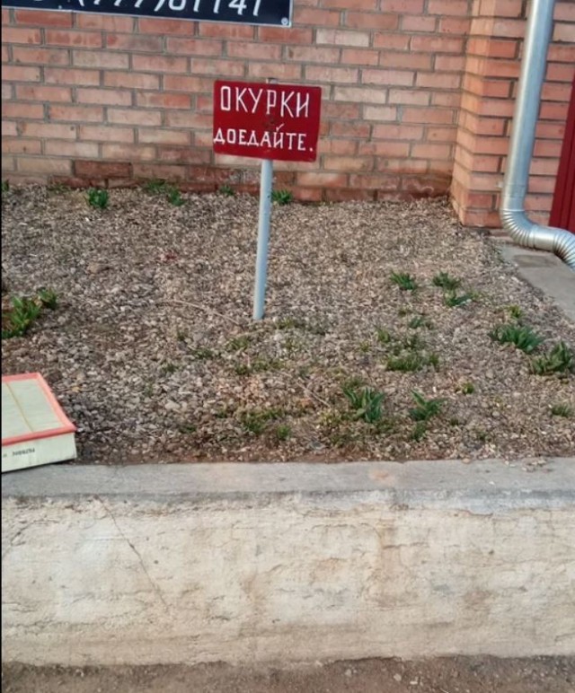 Ежегодные "подснежники"