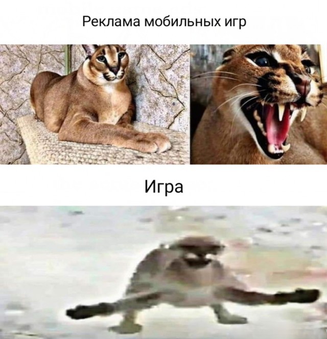 Весёлый полтишок 5.04
