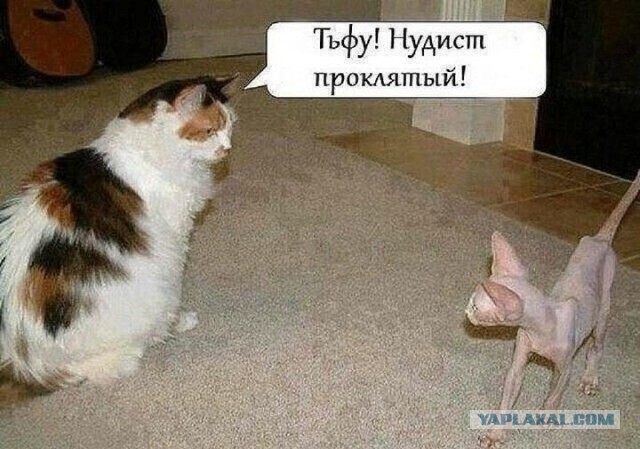 Бредзона 05.04.21