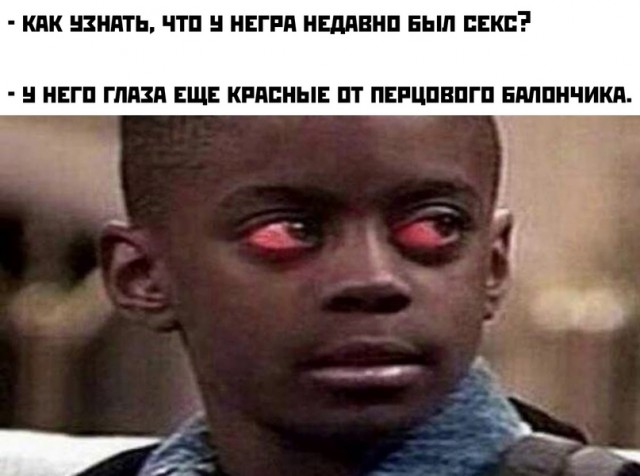 Весёлый полтишок 21.05