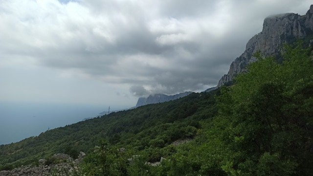 Крым - сервис на примере заказа шаурмы