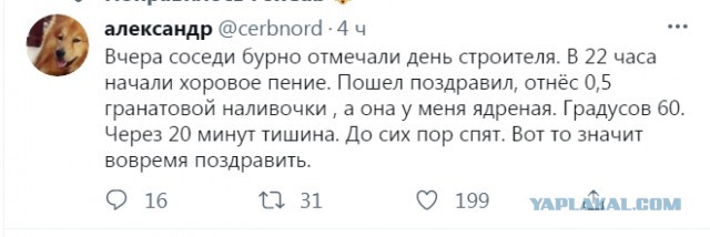 Весёлый полтишок 11.09