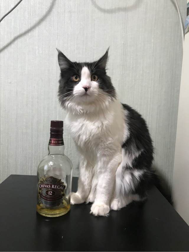 Взросление друга
