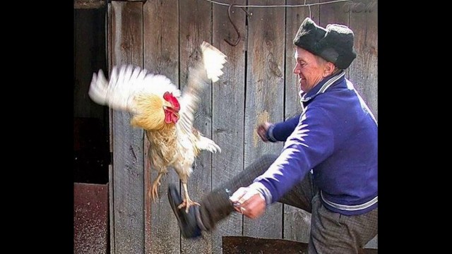 Владимир Жога (Воха)  посмертно награждён звездой Героя ДНР