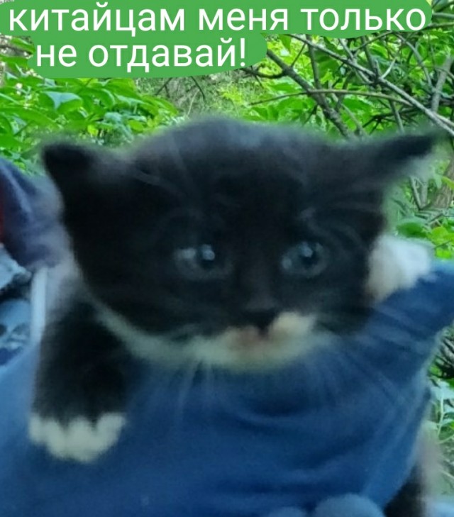 А помнишь бэха у тебя была?