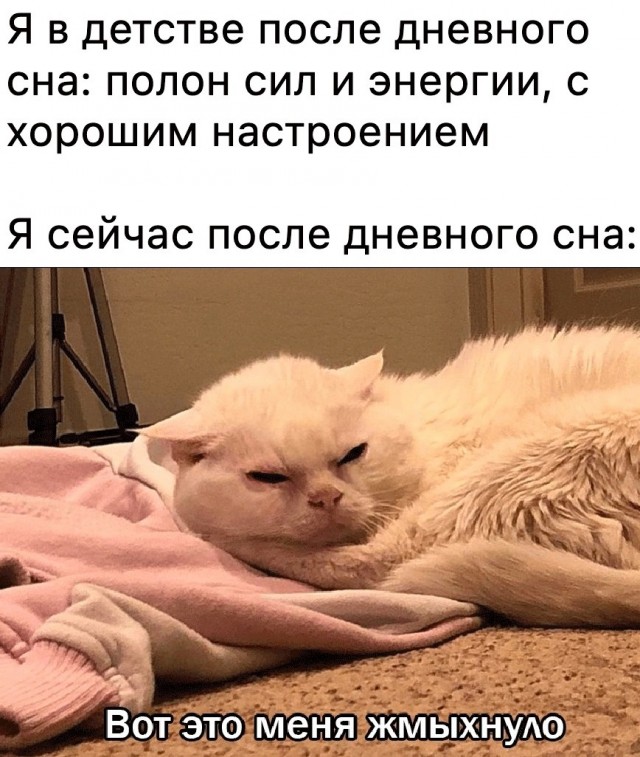 Псс..! Мемов надо?