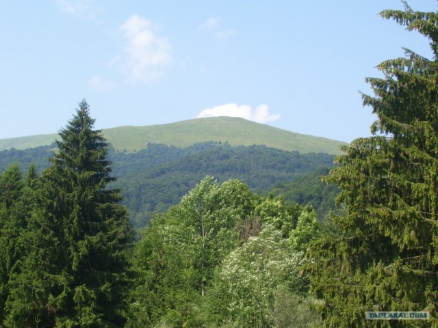 Карпаты 2011