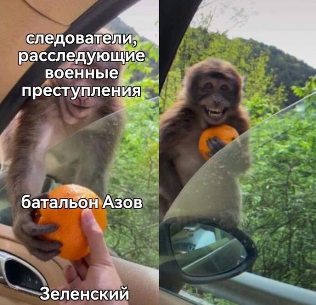 Первый пошёл? Калина вышел с Азовстали?