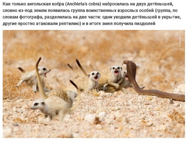Немного картинок и прочей хреноты Vol. 15